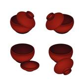 170x170 Miso Clip Art