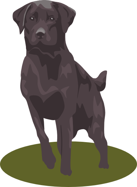 438x596 Labrador Retriever (Black) Clip Art