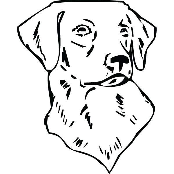 Lab Dog Clipart | Free download on ClipArtMag