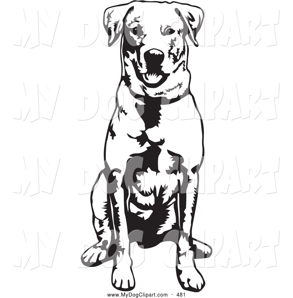 1024x1044 Labrador Retriever Dog Clipart
