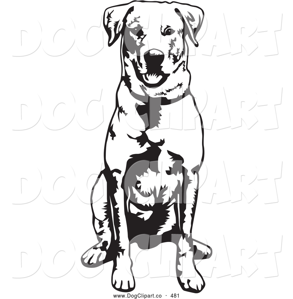 1024x1044 Vector Clip Art Of A Cheerful And Obedient Labrador Retriever Dog