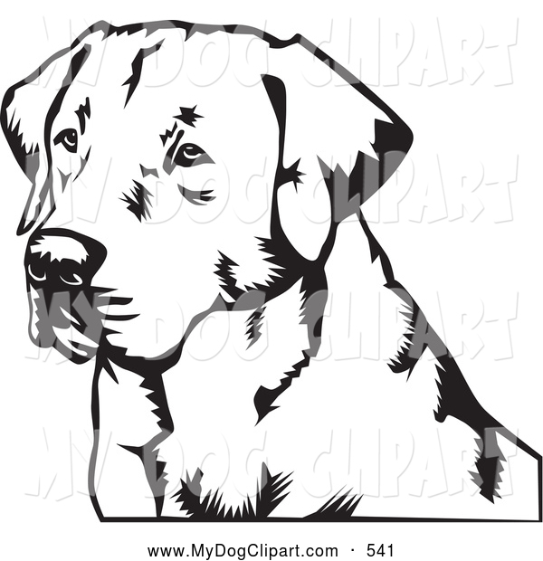 600x620 Clip Art Of A Friendly Labrador Retriever Dog By David Rey