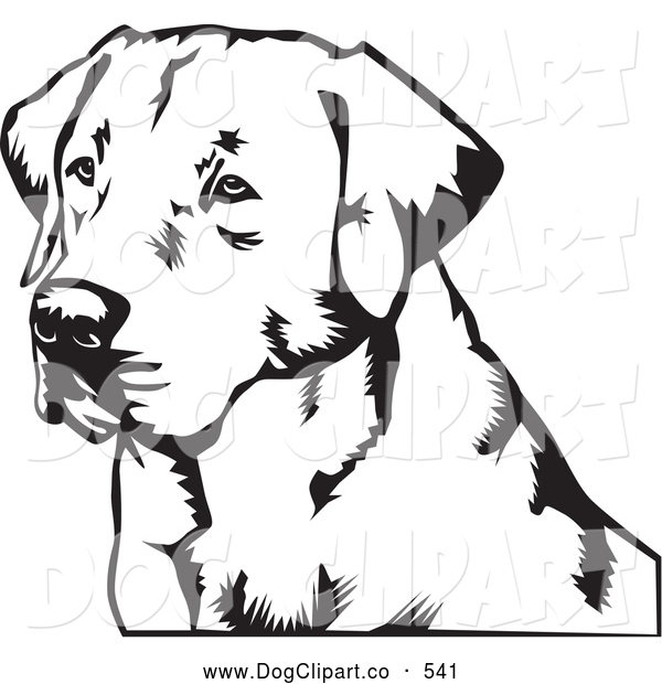 600x620 Lab Silhouette Clipart