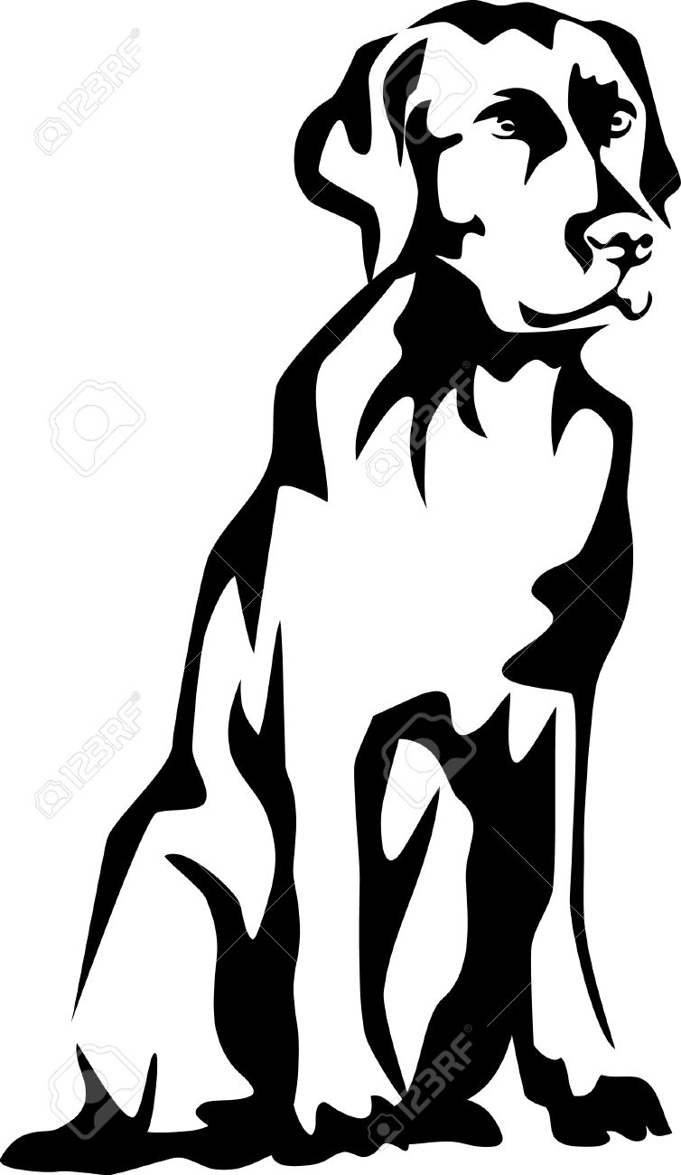 754x1300 Retriever Clipart Lab Dog