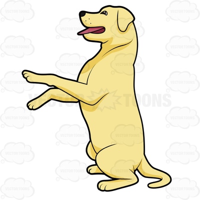 400x400 Yellow Lab Clipart