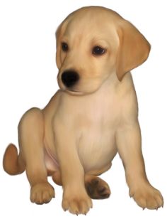 236x308 Dog Png Images Images