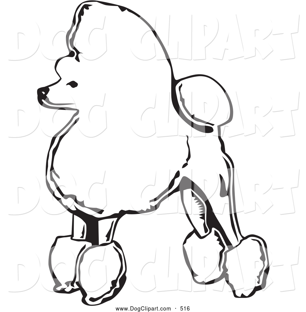 1024x1044 Labrador Poodle Clip Art Cliparts