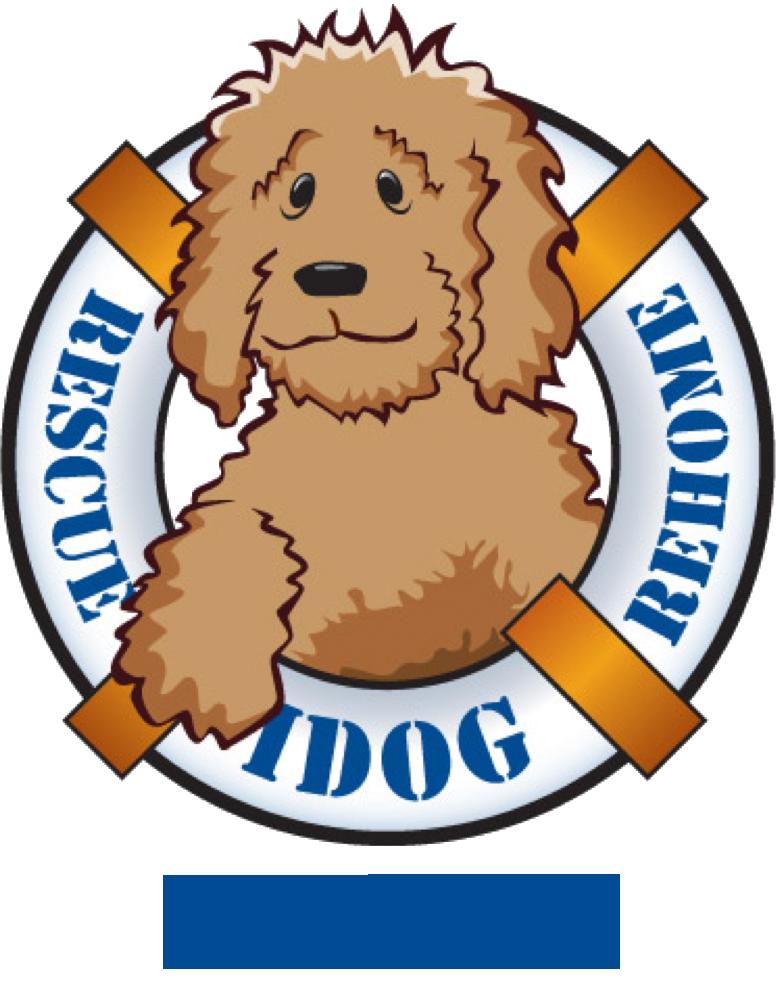 776x992 Pets For Adoption