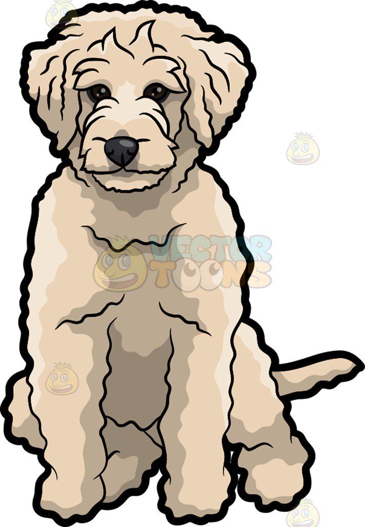 710x1024 Sad Golden Doodle Dog Vector Clip Art Cartoon, Labradoodle Clip