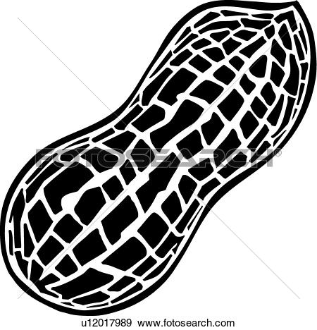 450x468 Peanut Clipart
