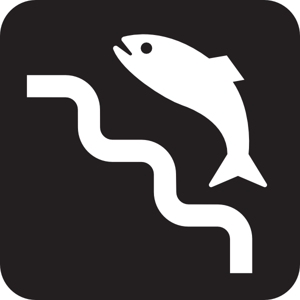 600x600 Fish Ladder Black Clip Art