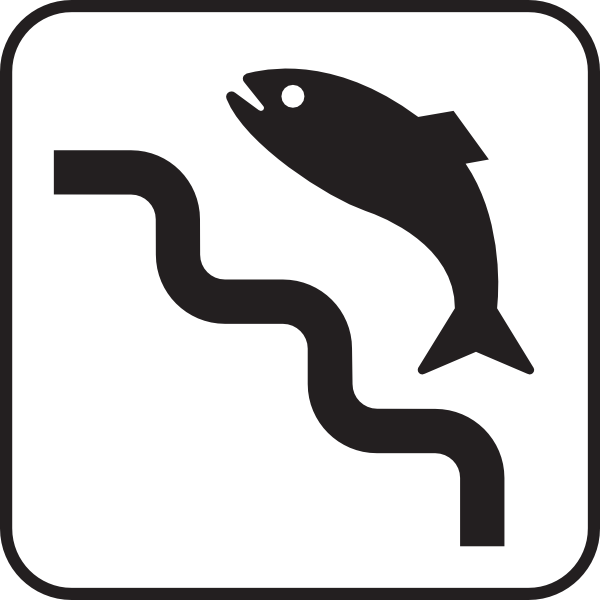 600x600 Fish Ladder White Clip Art