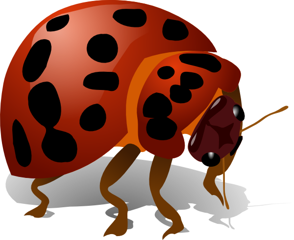 600x491 Lady Bug Clip Art Free Vector 4vector