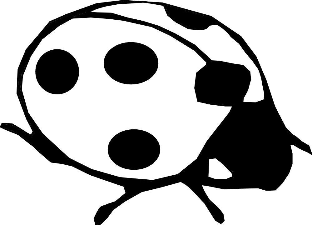 999x720 Ladybug Clipart Line