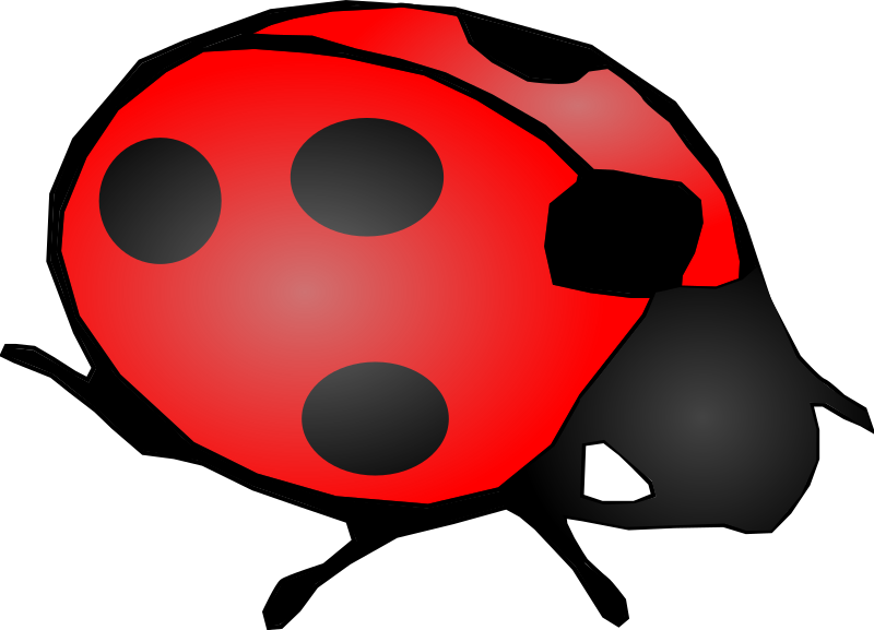 800x577 Cartoon Ladybug Clip Art Png Png Mart