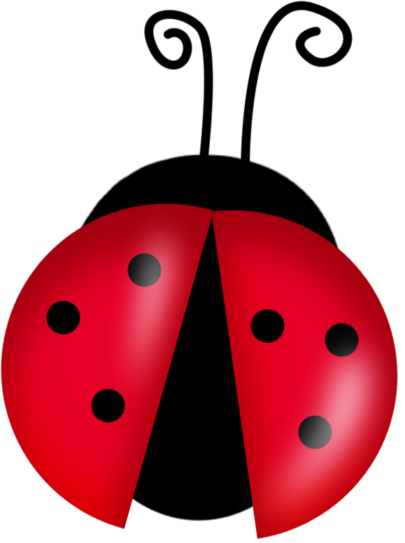 579x777 Lady Bug Clip Art