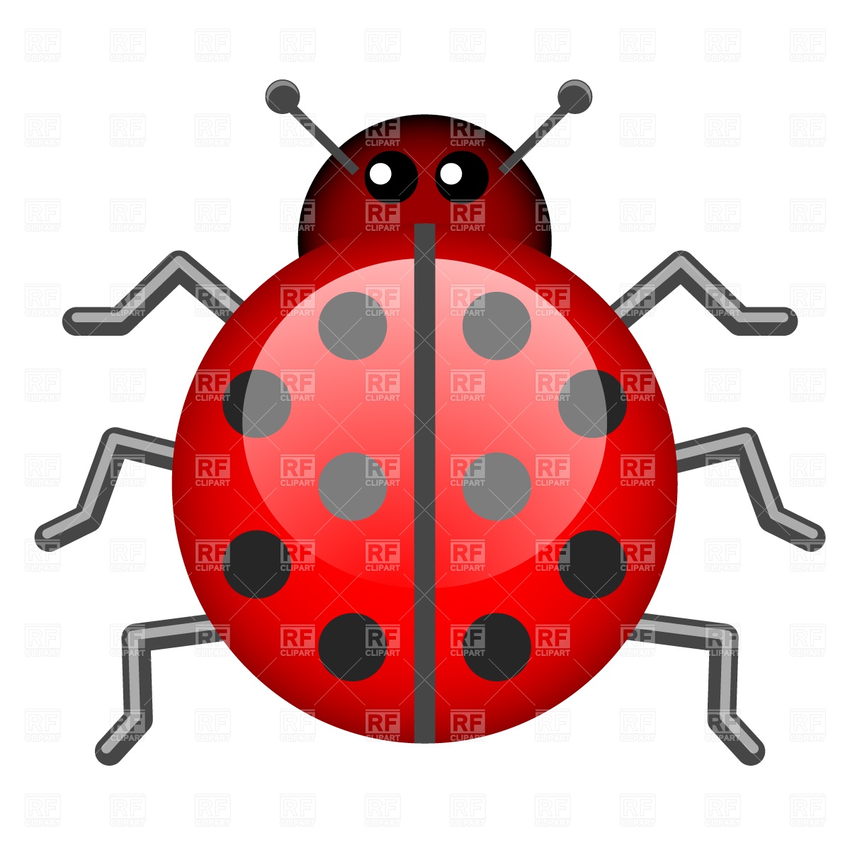 1200x1200 Ladybird Royalty Free Vector Clip Art Image
