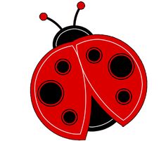 236x201 Ladybug Clipart