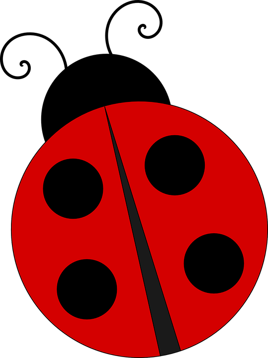 539x720 Ladybug Clipart Transparent