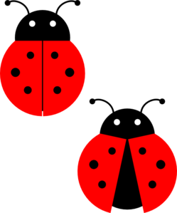 249x299 Realistic Clipart Ladybug