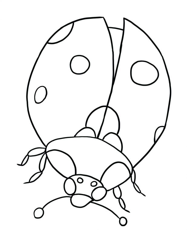 Collection of Bug clipart | Free download best Bug clipart on ...