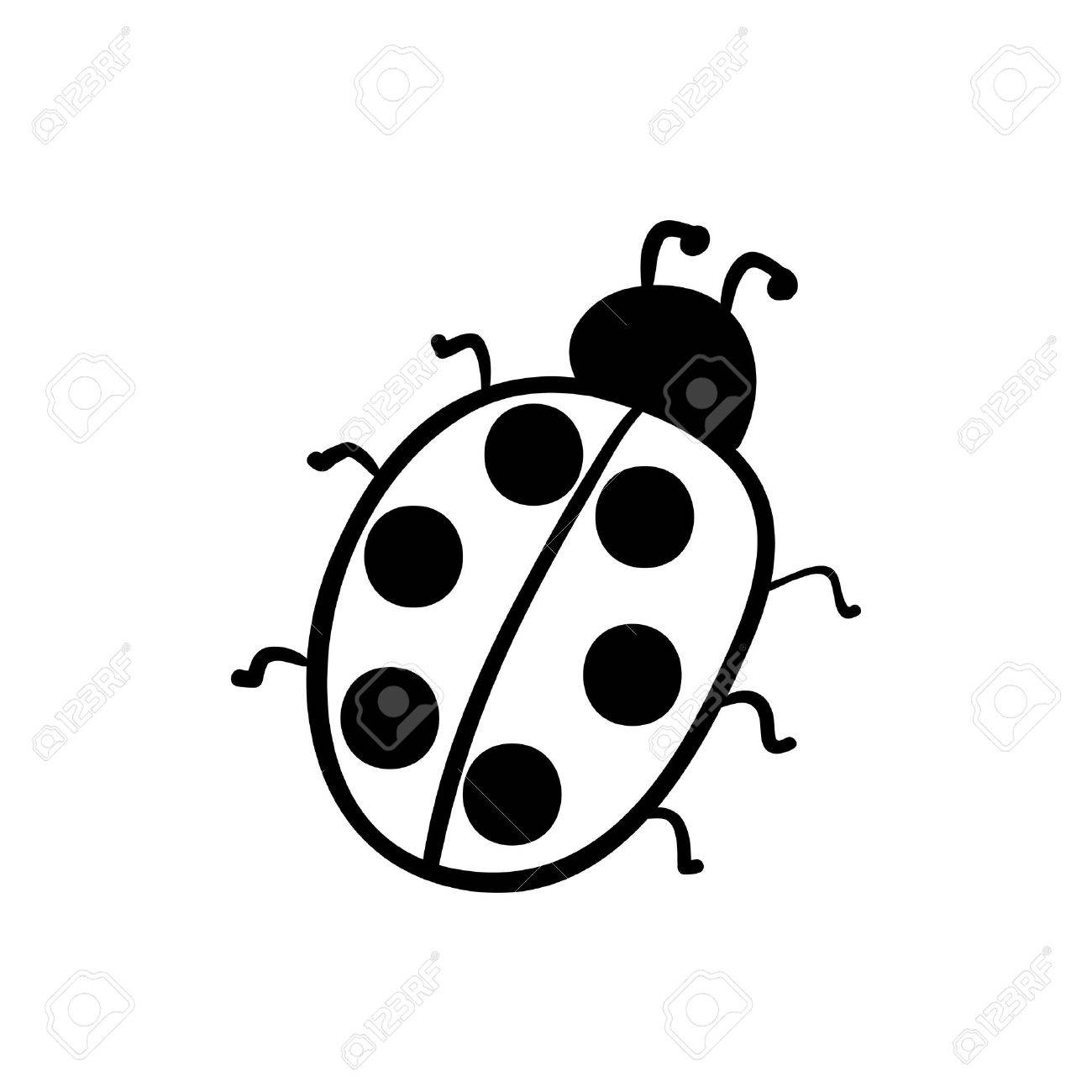 1300x1300 Vector Hand Drawn Ladybug. Black Sketch On White Background