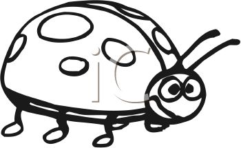 350x215 Egg Clipart Ladybug