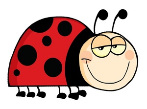 300x223 Ladybug Clipart Black And White Free Clipart Images 5