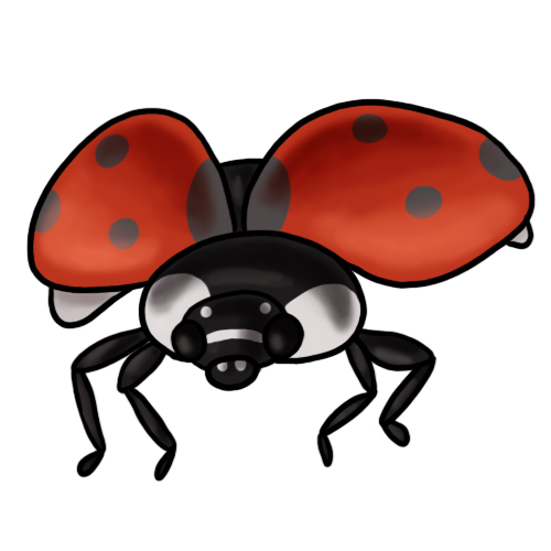 500x500 Ladybug Clipart Black And White Free Images