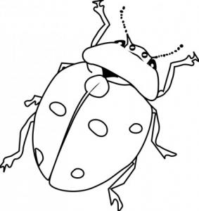 283x300 Beetle Clip Art Download