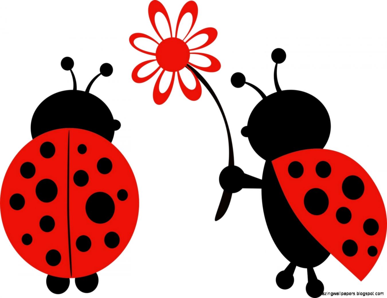 1350x1038 Photo Collection Cute Ladybug Lady Bug