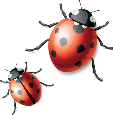 361x368 Free Download Ladybug Vector Free Vector Download (196 Free Vector