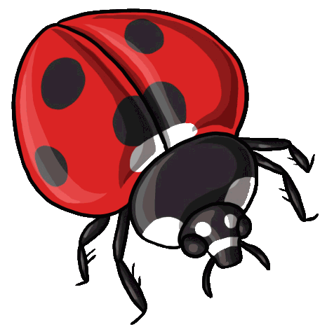 466x477 Ladybug Clip Art