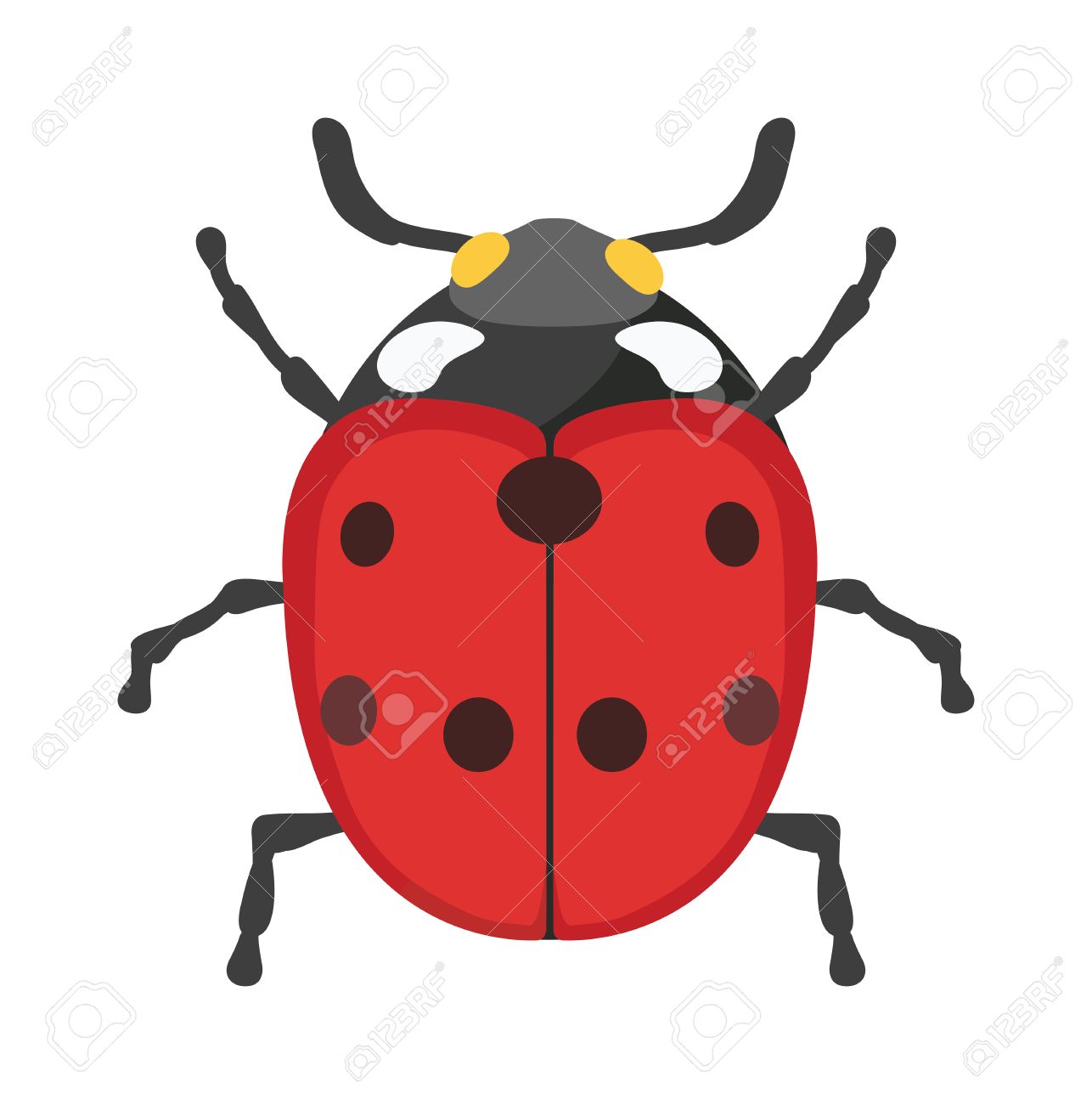 1286x1300 Ladybug Vector Insect Isolated On White Background. Flat Red