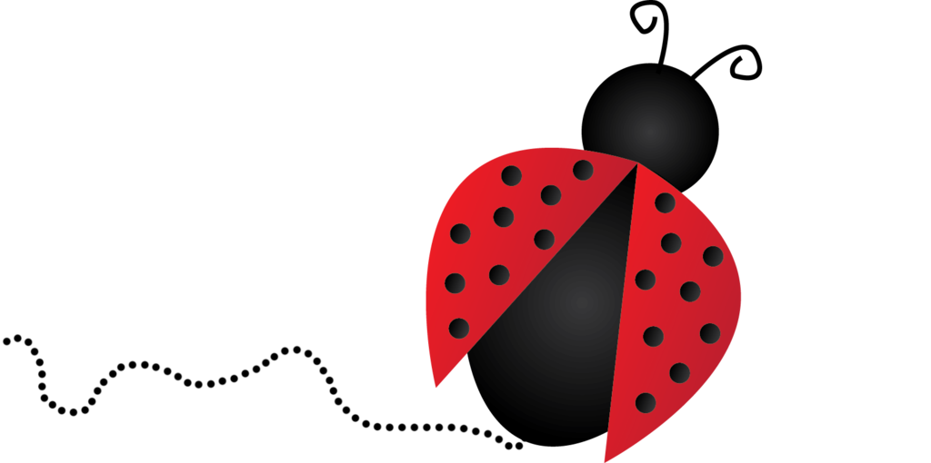 1024x510 Ladybug Clipart Transparent
