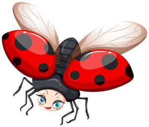 300x257 Ladybug Flying Out Of The Jar Illustration Royalty Free Stock