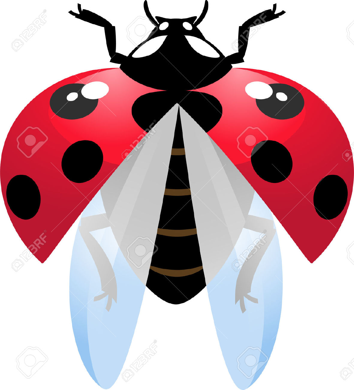 1181x1300 Wings Clipart Ladybug