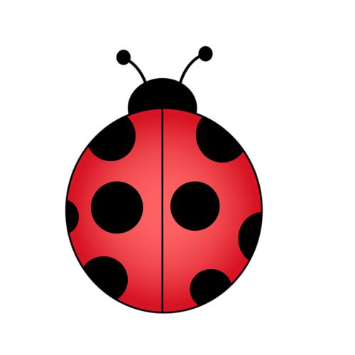 500x500 842 Best Ladybug Images Draw, Butterflies