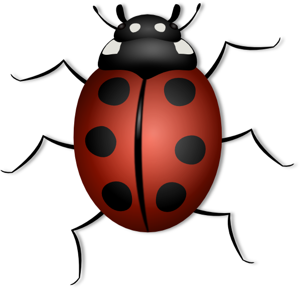 600x575 Best Photos Of Flying Ladybug Clip Art