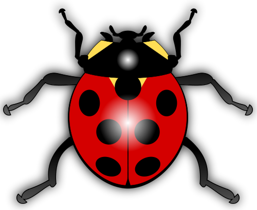 500x408 Everything Ladybug! The Source For Ladybug Stuff!