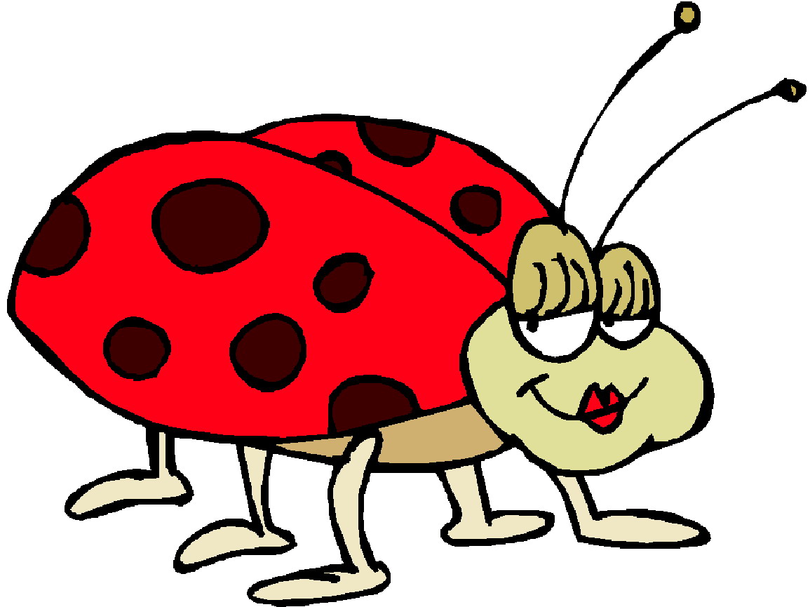 1155x865 Ladybug Clipart Animated