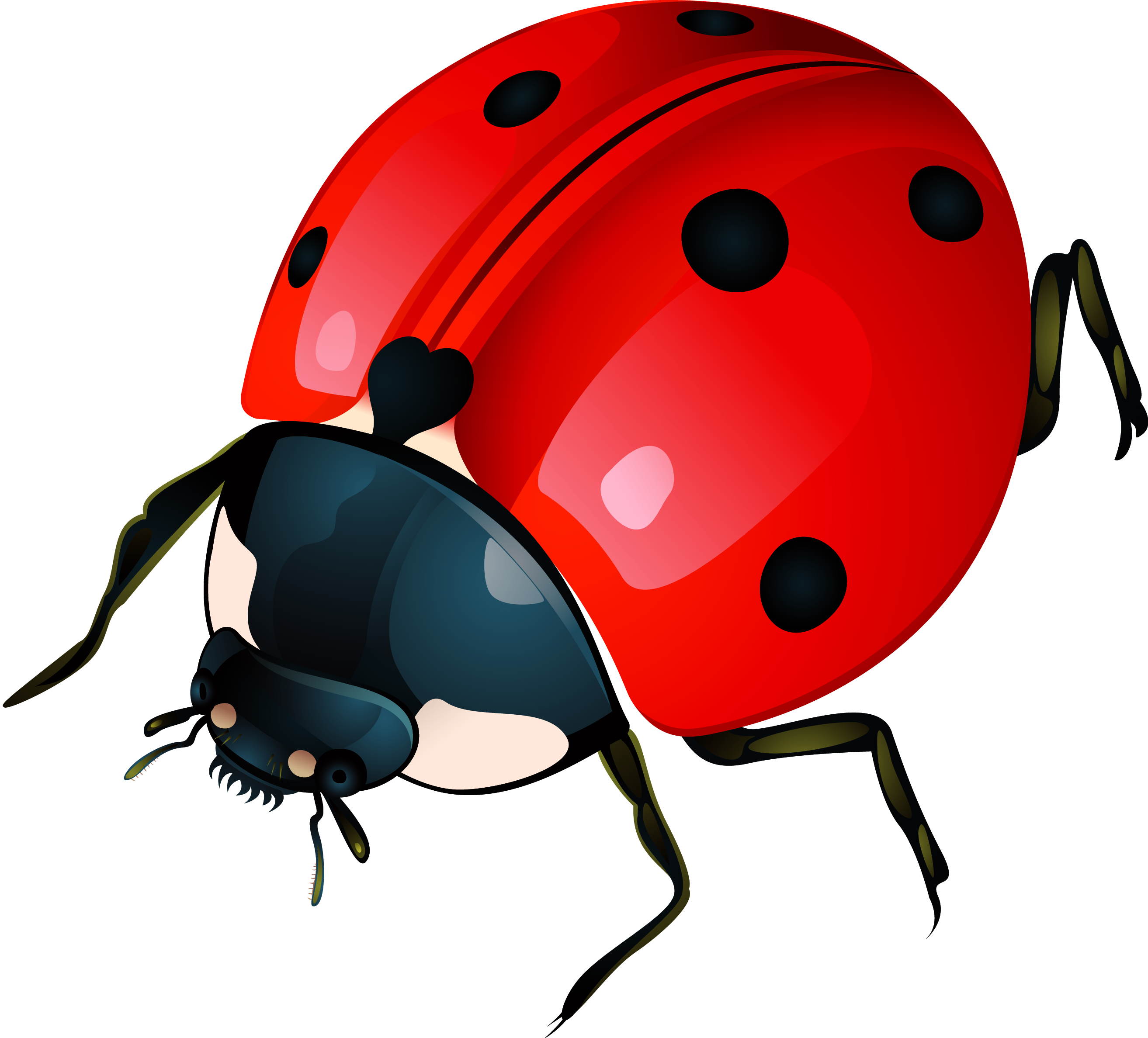 2627x2376 Ladybug Clipart Gambar