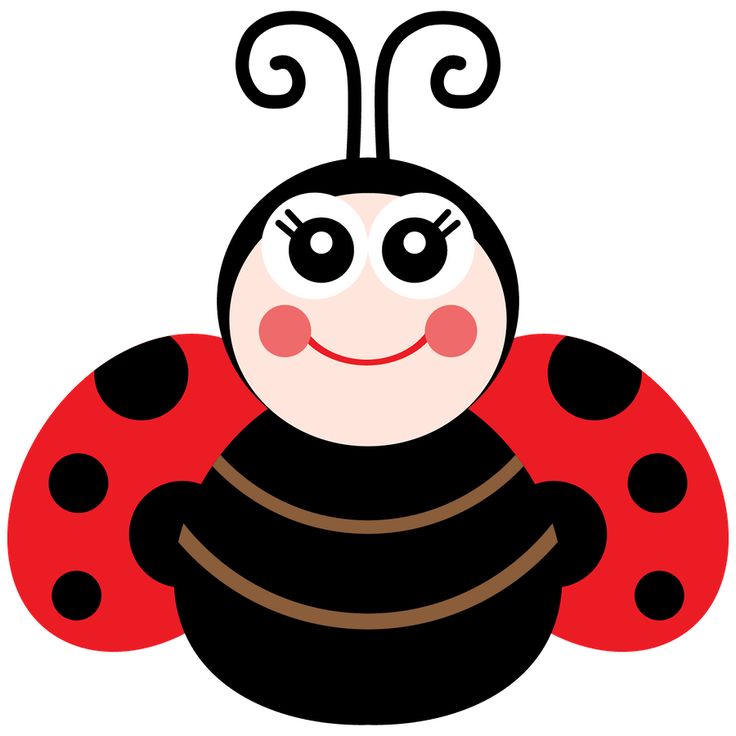 736x736 Ladybug Clipart Trail