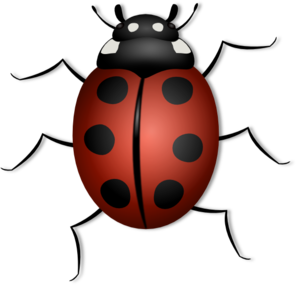 297x285 Lady Bug Clip Art