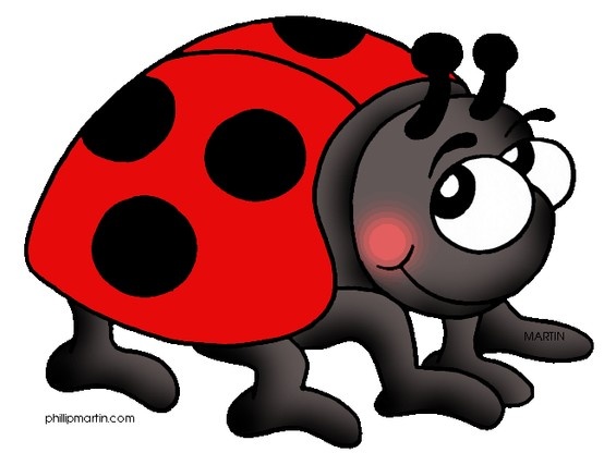 554x427 110 Best Lady Bugs Images Beautiful, Cards And Cow