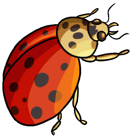 441x450 Ladybug Clip Art