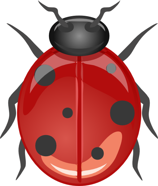 510x600 Ladybug Clip Art Free Vector 4vector