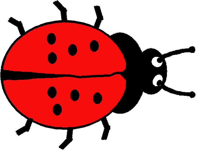 651x496 Ladybug Clipart Large