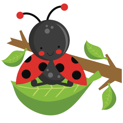 432x432 Leaf Clipart Ladybug