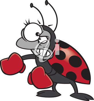 326x350 Cartoon Clip Art Illustration Of An Angry Ladybug